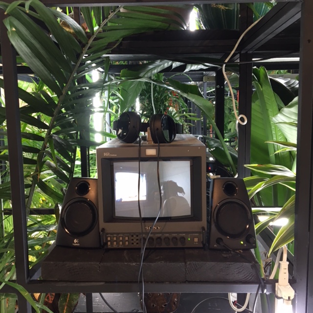 hauserwirthtv