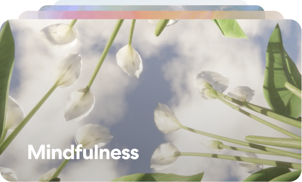 mood-mindfulness